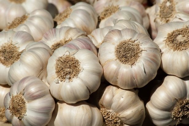 tchesnok-polza-tchto-budet-esli-ets-tchesnok-kaghdyi-den