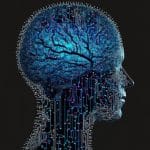 Статья о процессе отчиски мозга по ночам, который недвано открыли ученые.