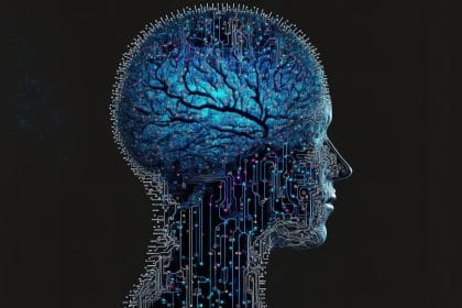 Статья о процессе отчиски мозга по ночам, который недвано открыли ученые.