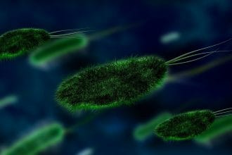 Новые способы лечения опухоли (рака) с помощью бактерий и вирусов.