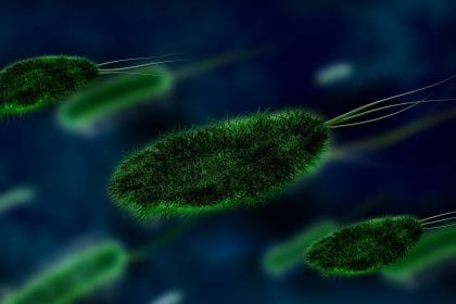 Новые способы лечения опухоли (рака) с помощью бактерий и вирусов.