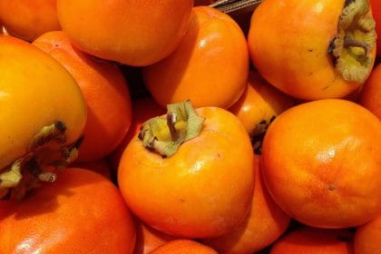 Полезные фрукты для зимнего периода: почему каки (хурма) должны быть включены в рацион здорового человека.