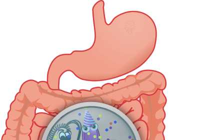 неприятные звуки в желудке или кишечнике - причины