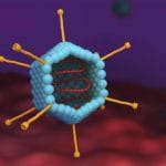 Новый загадочный вирус гуляет по Европе. Конец 2025, начало 2026 года.