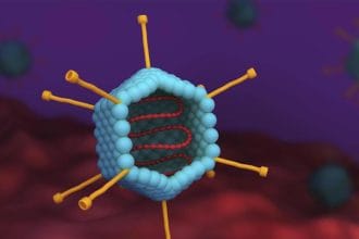 Новый загадочный вирус гуляет по Европе. Конец 2025, начало 2026 года.