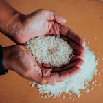 Отзыв риса в ФРГ (продажа была только онлайн)